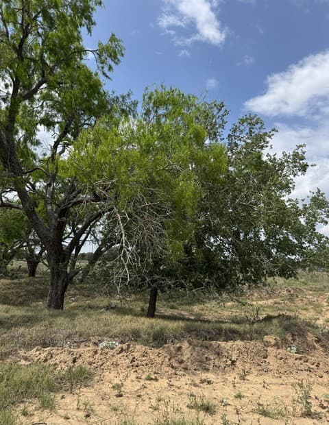 rental at 00 County Road 405 in Floresville, TX — photo 3