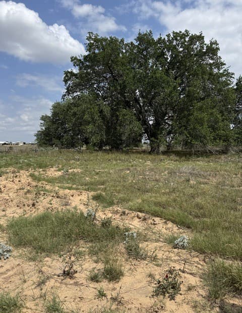 rental at 00 County Road 405 in Floresville, TX — photo 4