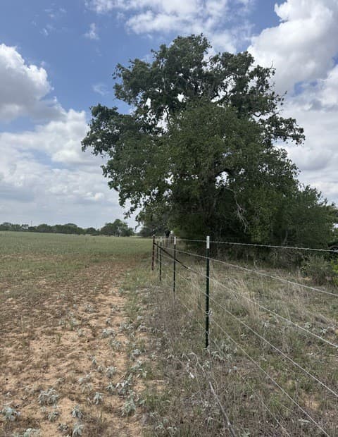 rental at 00 County Road 405 in Floresville, TX — photo 5
