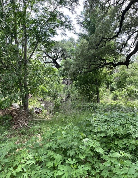 rental at 12760 Bernhardt Rd in San Antonio, TX — photo 2