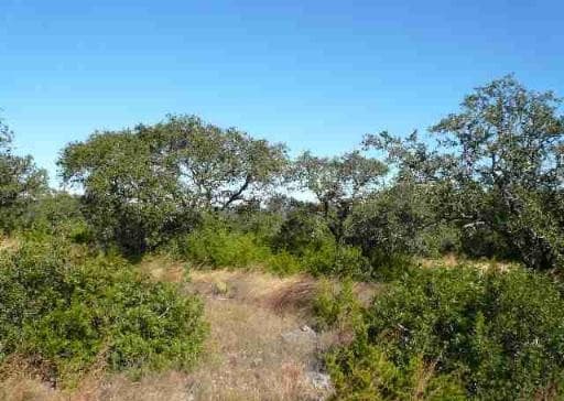 rental at 17550 County Road 175 in Helotes, TX — photo 3