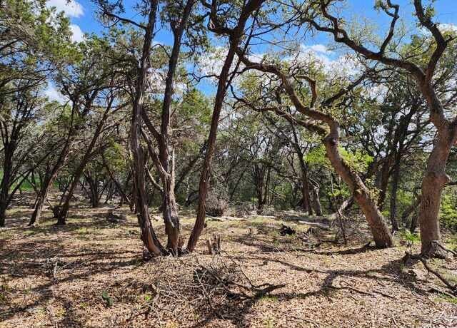 rental at LOT 18/19 Forest Lake Dr in Spring Branch, TX — photo 1