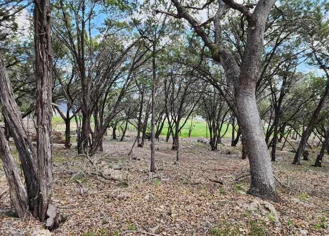 rental at LOT 18/19 Forest Lake Dr in Spring Branch, TX — photo 3