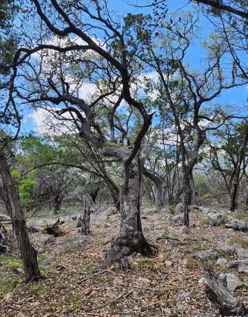 rental at LOT 18/19 Forest Lake Dr in Spring Branch, TX — photo 4
