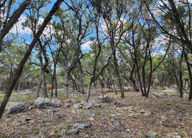 rental at LOT 18/19 Forest Lake Dr in Spring Branch, TX — photo 5