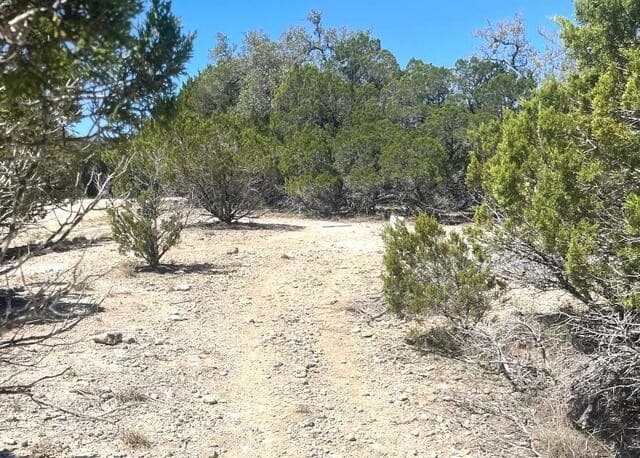 rental at 457 Timberline Dr in Bandera, TX — photo 4