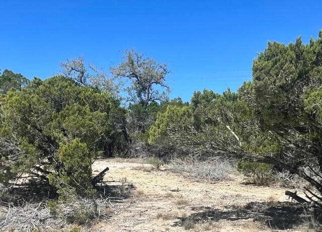 rental at 457 Timberline Dr in Bandera, TX — photo 5