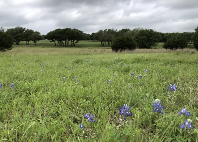 rental at LOT 912 Jesse Stiff in Blanco, TX — photo 3