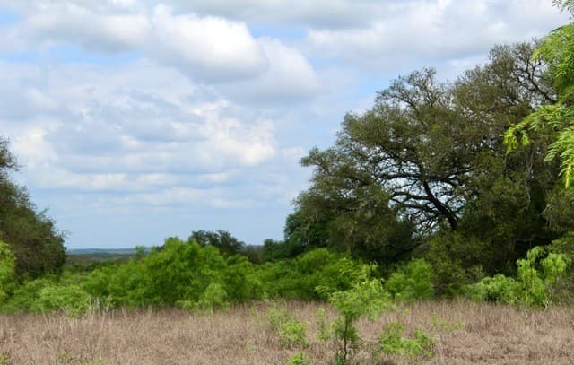 rental at 000 Cr 341 in Hondo, TX — photo 1