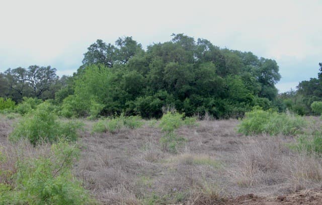 rental at 000 Cr 341 in Hondo, TX — photo 2
