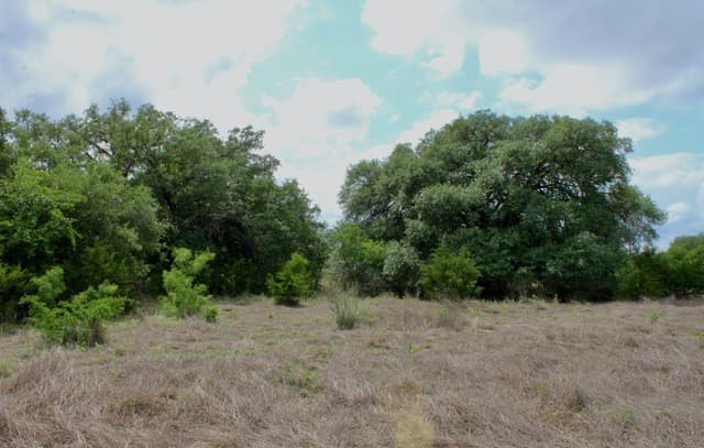 rental at 000 Cr 341 in Hondo, TX — photo 3