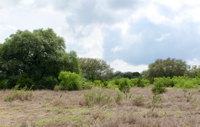 rental at 000 Cr 341 in Hondo, TX — photo 4