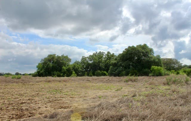 rental at 000 Cr 341 in Hondo, TX — photo 5