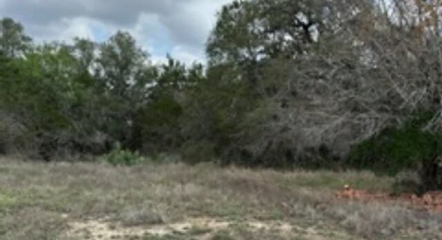 rental at 183 Fossil in Spring Branch, TX — photo 3