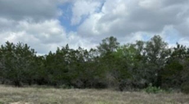 rental at 183 Fossil in Spring Branch, TX — photo 5
