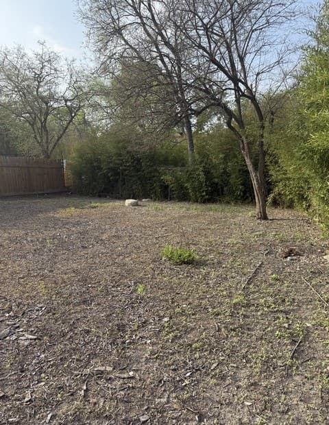 rental at 3107 Saunders Ave in San Antonio, TX — photo 3