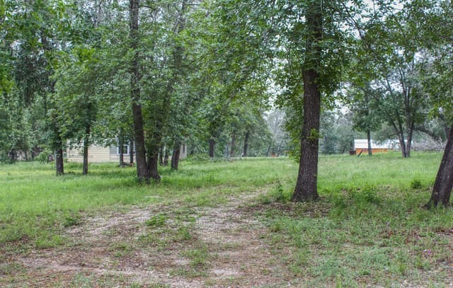 2-bedroom rental at 278 County Road 6862 in Natalia, TX — photo 3