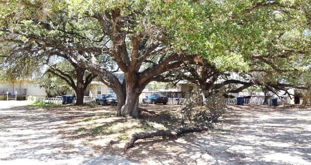 rental at 128 Winship Rd in Pleasanton, TX — photo 4