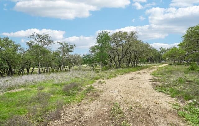 rental at 964 Wagon Wheel Dr in Spring Branch, TX — photo 3