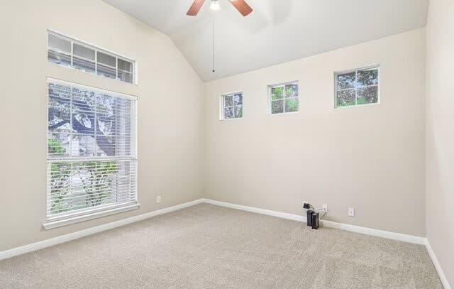 3-bedroom rental at 125 Indigo Brush Dr in Cibolo, TX — photo 4