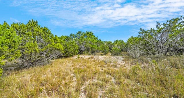 rental at 326 Vista View Place in Spring Branch, TX — photo 4