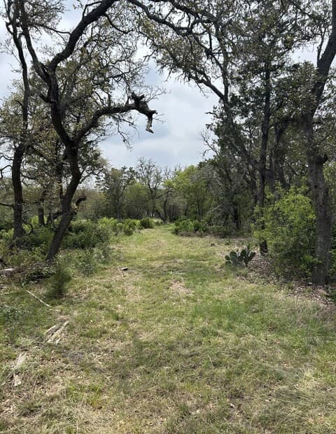 rental at TBD County Road 2471 in Hondo, TX — photo 4