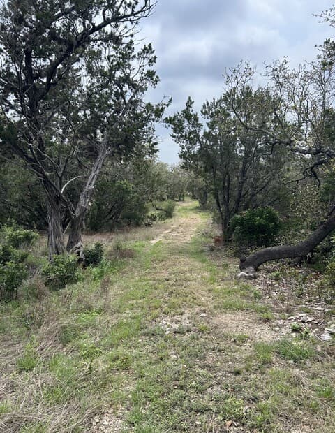 rental at TBD County Road 2471 in Hondo, TX — photo 5