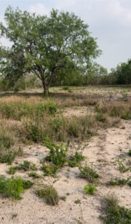 rental at 271 Fm 1358 in Three Rivers, TX — photo 2