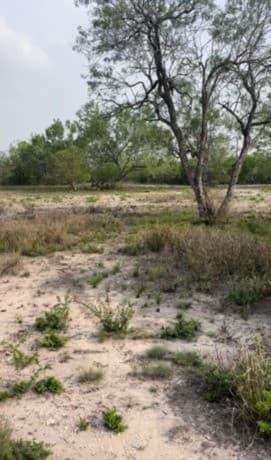 rental at 271 Fm 1358 in Three Rivers, TX — photo 3