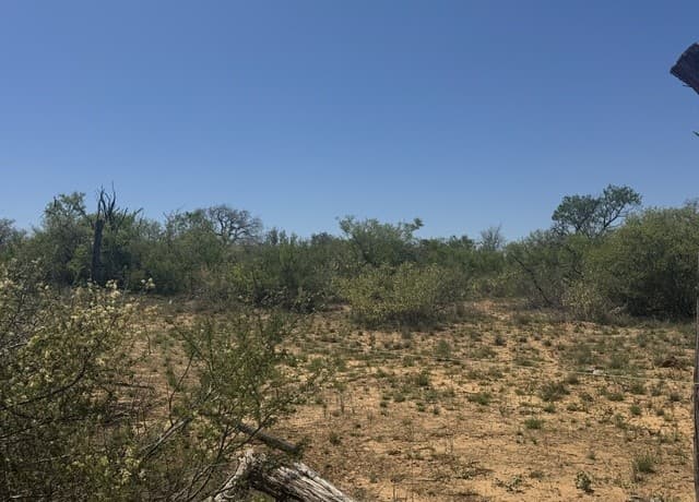 rental at 00 Kyote in Bigfoot, TX — photo 3