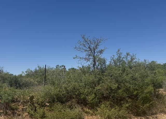 rental at 00 Kyote in Bigfoot, TX — photo 4