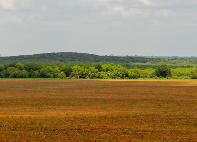 rental at TBD County Road 3000 Keystone in Pearsall, TX — photo 4