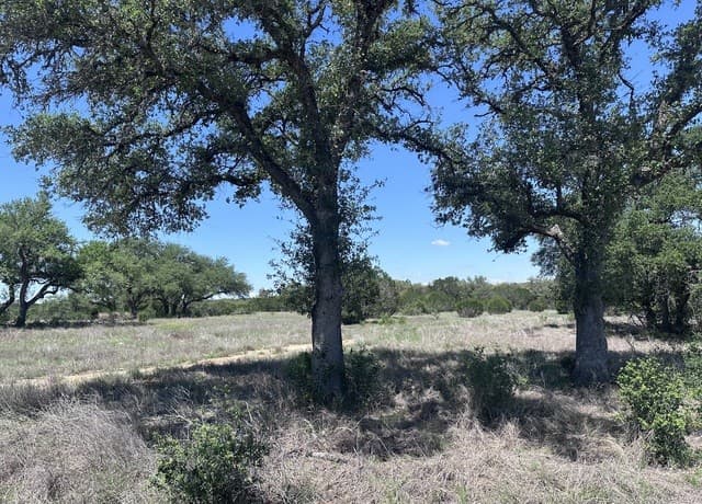 rental at 322 Serenity Pass in Spring Branch, TX — photo 5