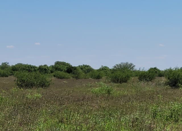 rental at 277 Joy Ln in Pleasanton, TX — photo 5