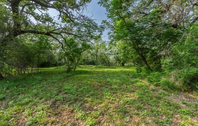 rental at 224 County Road 662 in Devine, TX — photo 1