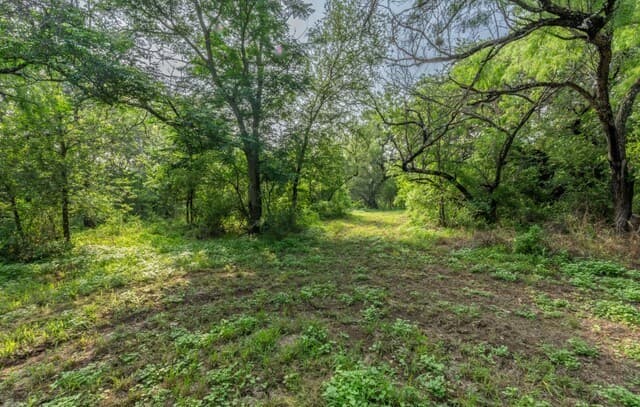 rental at 224 County Road 662 in Devine, TX — photo 2