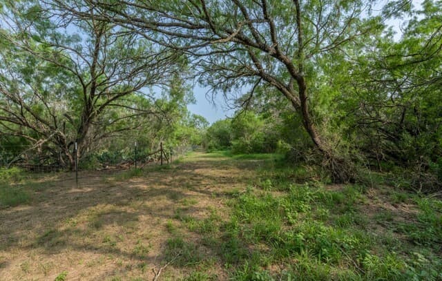 rental at 224 County Road 662 in Devine, TX — photo 4