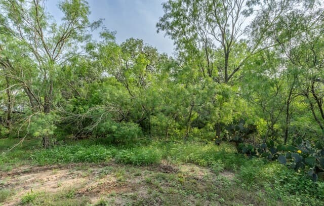 rental at 224 County Road 662 in Devine, TX — photo 5