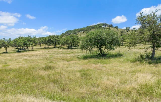 rental at TBD Kendalia Rd in Blanco, TX — photo 5
