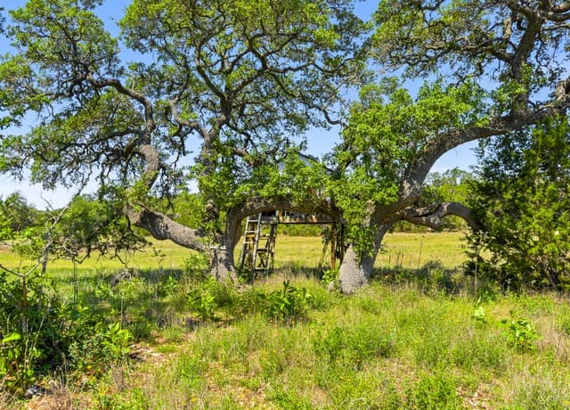 rental at 163 N Stallion Estates Drive in Spring Branch, TX — photo 1