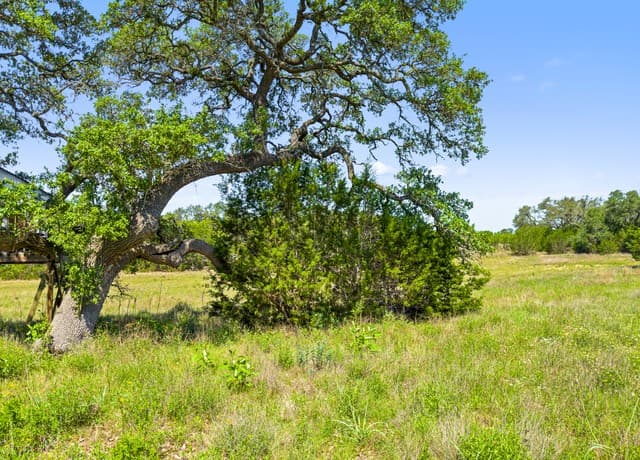 rental at 163 N Stallion Estates Drive in Spring Branch, TX — photo 2