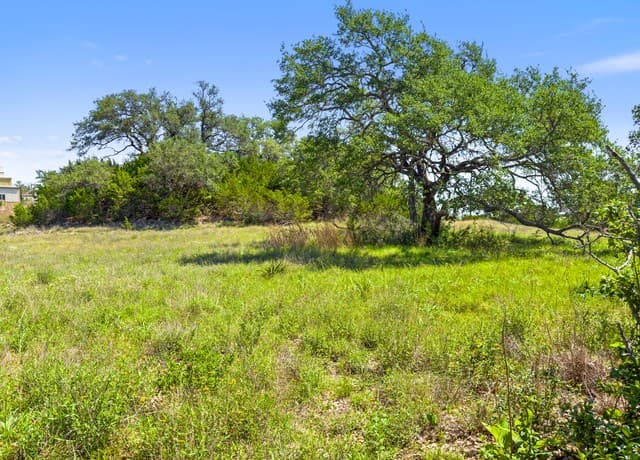 rental at 163 N Stallion Estates Drive in Spring Branch, TX — photo 3