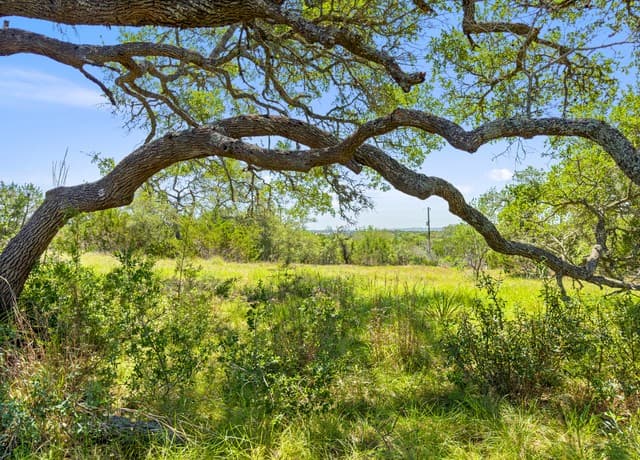 rental at 163 N Stallion Estates Drive in Spring Branch, TX — photo 4