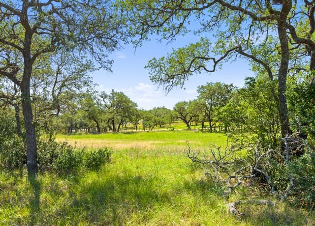 rental at 163 N Stallion Estates Drive in Spring Branch, TX — photo 5