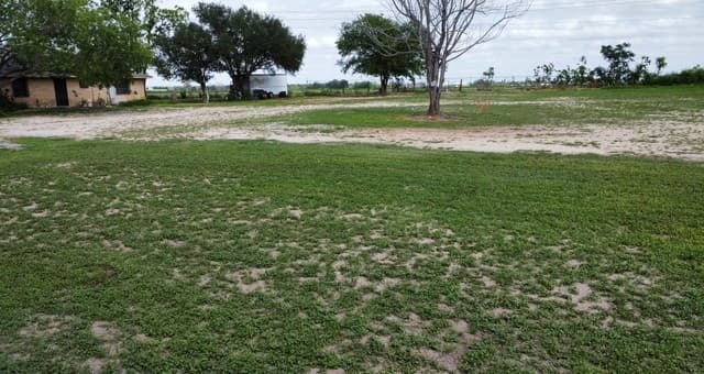 rental at 8202 New Laredo HWY in San Antonio, TX — photo 2
