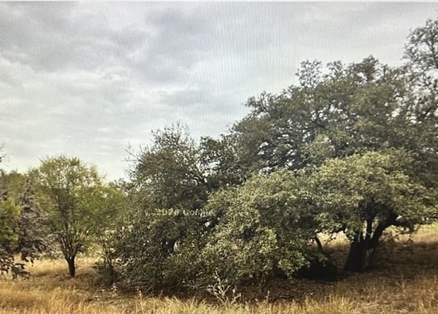 rental at 71 River Blf in Castroville, TX — photo 5