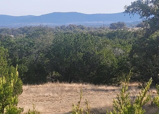 rental at LOT 20 County Road 357B in Utopia, TX — photo 3