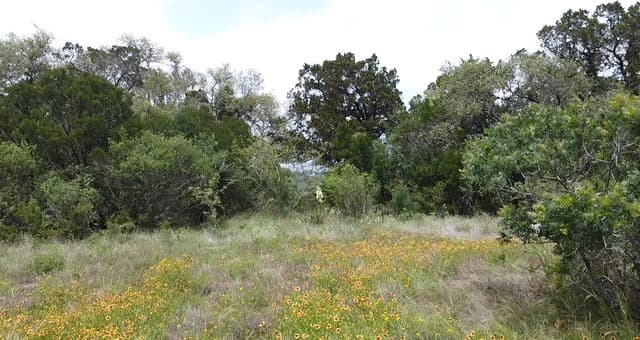 rental at 460 County Road 2753 in Mico, TX — photo 3