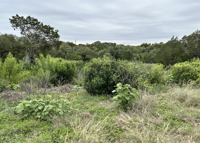 rental at 3726 Summer Breeze Ln in San Antonio, TX — photo 3