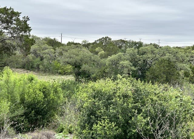 rental at 3726 Summer Breeze Ln in San Antonio, TX — photo 5